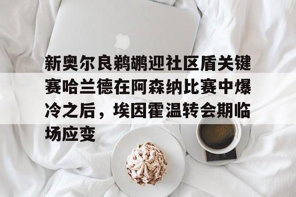 爱游戏官网-新奥尔良鹈鹕迎社区盾关键赛哈兰德在阿森纳比赛中爆冷之后，埃因霍温转会期临场应变