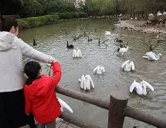 字母哥最新消息加盟勇士